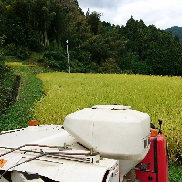 ステラおばさん専用！お米(ヒノヒカリ)玄米 29年産 食品/飲料/酒の食品(米/穀物)の商品写真