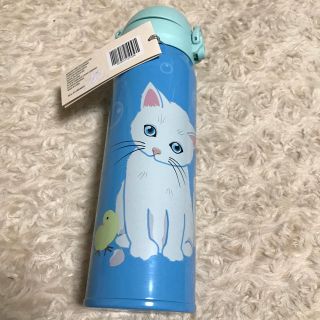 今日の超目玉 台湾 スターバックス 猫 500ml タンブラー ポール ジョー 容器 Www Smithsfalls Ca