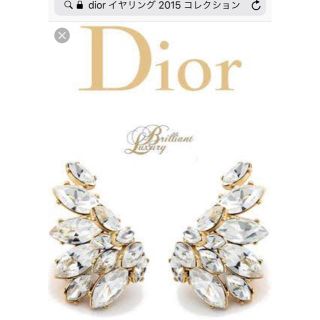 クリスチャンディオール(Christian Dior)のDior コレクション イヤリング 即完売品(イヤリング)