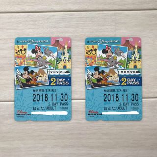 ディズニー(Disney)のディズニーリゾートライン 2day チケット 切符(遊園地/テーマパーク)