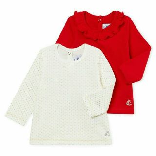 プチバトー(PETIT BATEAU)の日本未発売カラー　長袖カットソー  2枚組　24m(シャツ/カットソー)