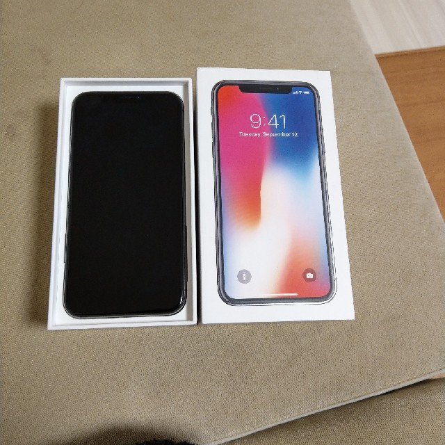 iPhone X 256GB