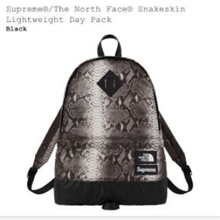 シュプリーム(Supreme)のSupreme/The North Face Backpack(バッグパック/リュック)