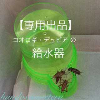 【♡:AKN様専用】コオロギ・デュビア の給水器 給水タンク ×4個(爬虫類/両生類用品)