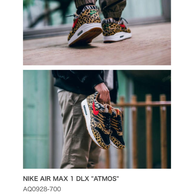 NIKE(ナイキ)のNIKE AIR MAX 1DLX ANIMAL メンズの靴/シューズ(スニーカー)の商品写真