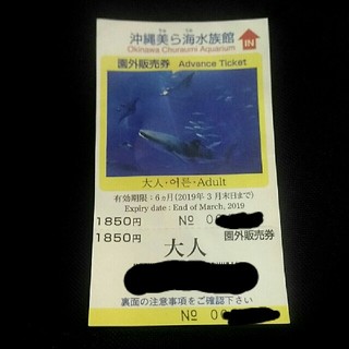 沖縄　美ら海水族館　チケット　入場券　大人　１人(水族館)
