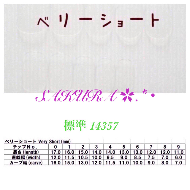 オーダー☆ネイルチップ T  -9 コスメ/美容のネイル(つけ爪/ネイルチップ)の商品写真