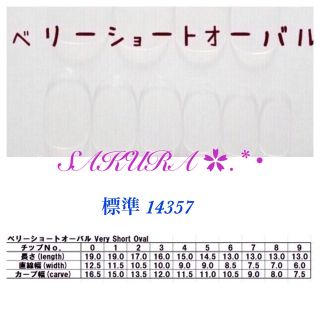 オーダー☆ネイルチップ T  -9 コスメ/美容のネイル(つけ爪/ネイルチップ)の商品写真