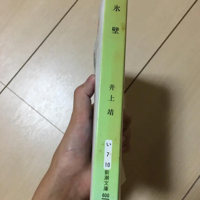 氷壁/井上 靖 エンタメ/ホビーの本(文学/小説)の商品写真