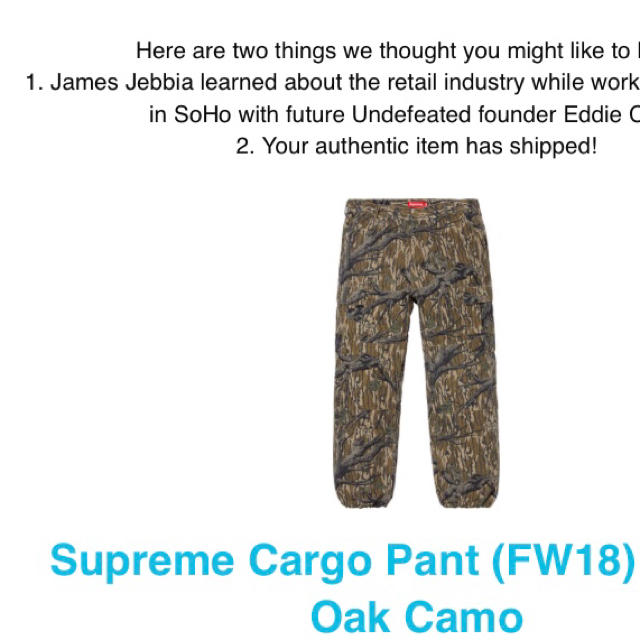 18FW Supreme Cargo Pant Mossy Oak Camo 熱い販売 kinetiquettes.com