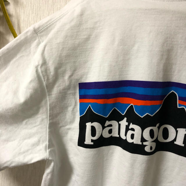 patagonia(パタゴニア)のPatagonia Ｔシャツ メンズのトップス(Tシャツ/カットソー(半袖/袖なし))の商品写真