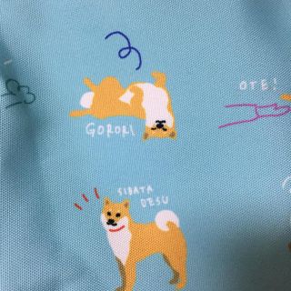 保冷バッグ ブルー 大きめサイズ 柴犬の柴田さん(弁当用品)