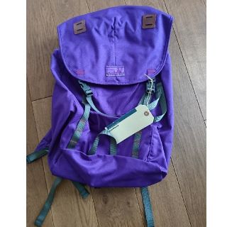 パタゴニア(patagonia)の新品 限定 パタゴニア サミットパック 26L 40周年記念 プレミア レア(バッグパック/リュック)