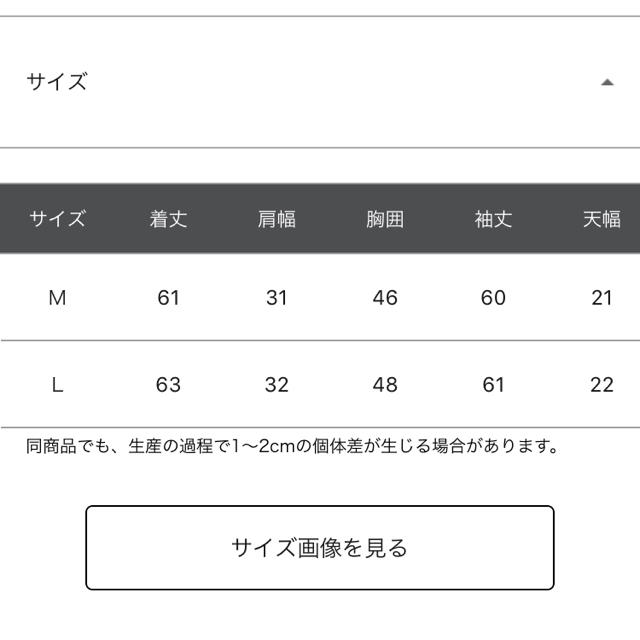 LOWRYS FARM(ローリーズファーム)のローリーズファーム 2018 インナー 長袖 レース レディースのトップス(キャミソール)の商品写真