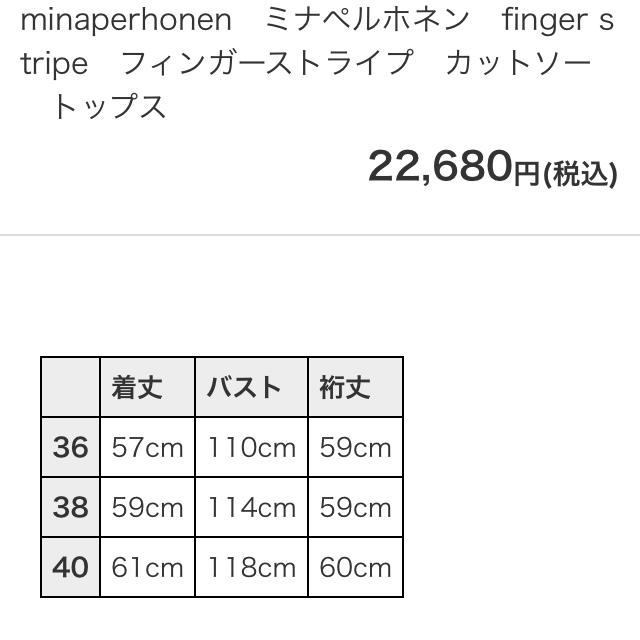 mina perhonen(ミナペルホネン)のミナペルホネン finger stripe フィンガーストライプ カットソー レディースのトップス(カットソー(長袖/七分))の商品写真