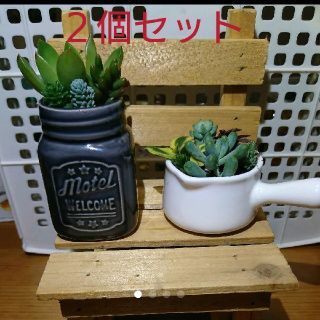 寄せ植えセット(その他)