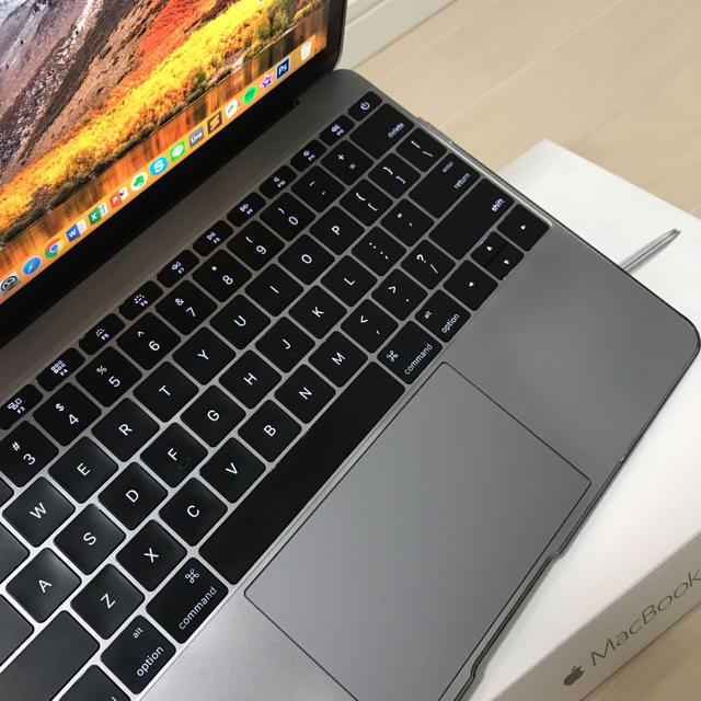 MacBook 12インチ 2017 SSD256GB キーボードUSモデル