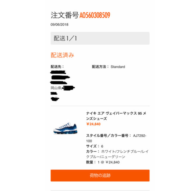 NIKE AIR VAPORMAX'95 ナイキ エア ヴァイパーマックス 95 3