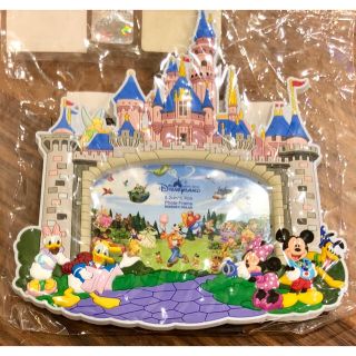 ディズニー(Disney)の【ぱふ様専用】香港ディズニー フォトフレーム2点(キャラクターグッズ)