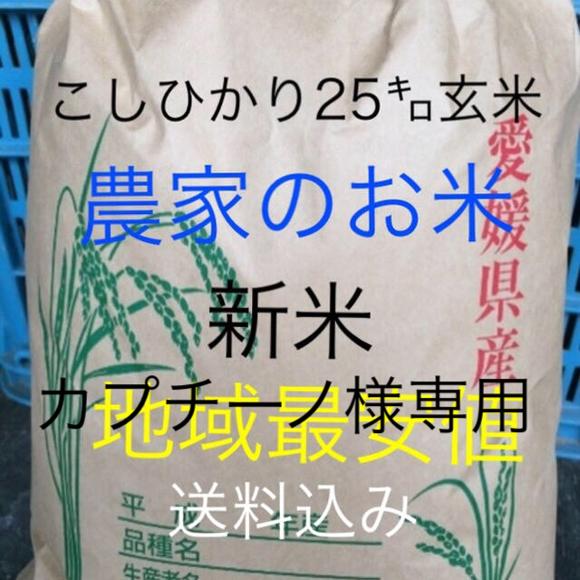 渡部家の新米こしひかり 25㎏  玄米 産地直送 美味しくなければ返金致します食品/飲料/酒