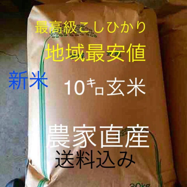 渡部家の新米こしひかり 10㎏  精米 産地直送 美味しくなければ返金致します 食品/飲料/酒の食品(米/穀物)の商品写真