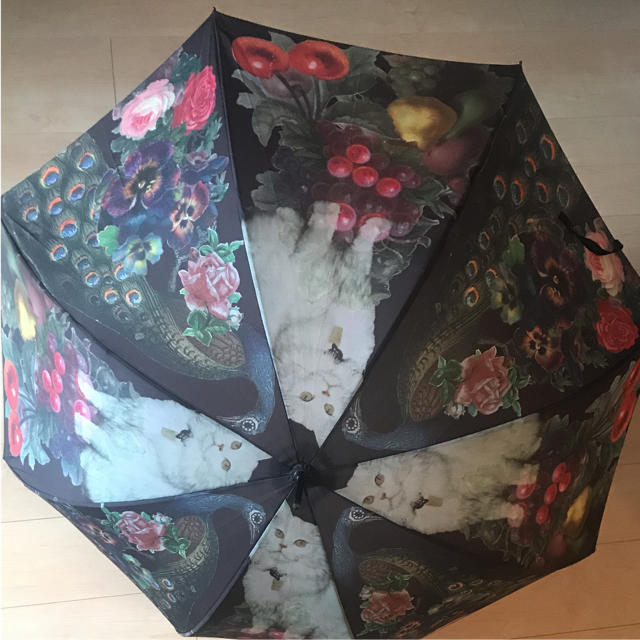 あちゅちゃむムチャチャ 猫と孔雀の傘傘