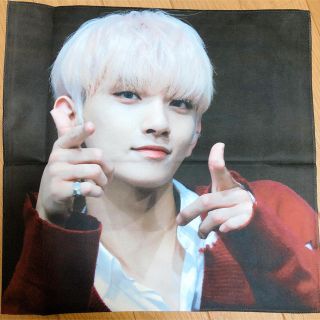 セブンティーン(SEVENTEEN)のジョシュア スローガン(アイドルグッズ)