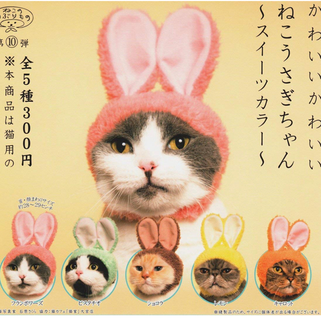 かわいいかわいいねこうさぎちゃん 二枚セット その他のペット用品(猫)の商品写真