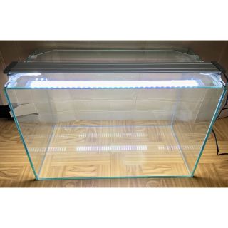 ＧＥＸグラステリア６００水槽ハイタイプ、LEDセット(アクアリウム)