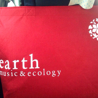 アースミュージックアンドエコロジー(earth music & ecology)の専用出品！earthのbigショッパー(ショップ袋)