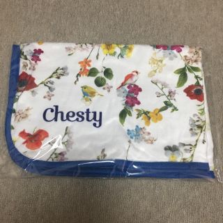 チェスティ(Chesty)のChesty  非売品 ブランケット(ノベルティグッズ)