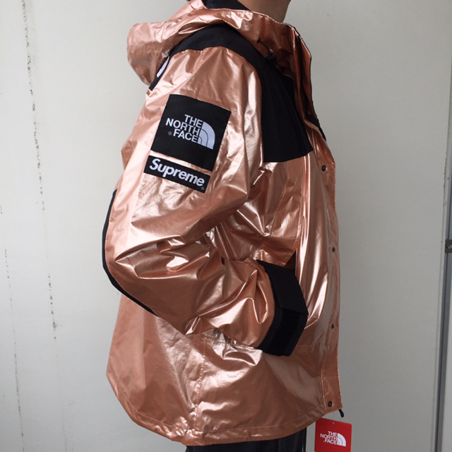 Supreme®/The North Face® Mountain ParkaサイズＬ