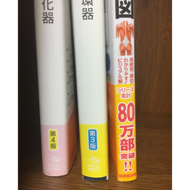 ★看護師さん向け★ 病気がみえる2冊＆人体解剖図 エンタメ/ホビーの本(健康/医学)の商品写真