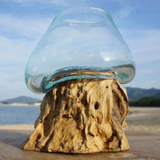 流木ガラスTN3 オブジェ 花瓶 多肉植物 金魚鉢 バリ島アート作品 テラリウム(ガラス)