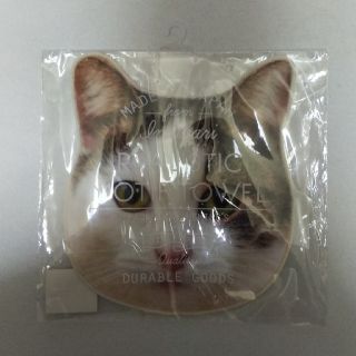 イマバリタオル(今治タオル)のリアル モチーフ 猫 タオルハンカチ 新品(ハンカチ)