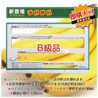 B級品 厚さ 測定定規 DA MON DE 01 イエロー４種枠 送料無料(その他)