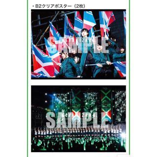 ケヤキザカフォーティーシックス(欅坂46(けやき坂46))の【休日限定お値引き】欅共和国限定 クリアポスター2枚セット(アイドルグッズ)