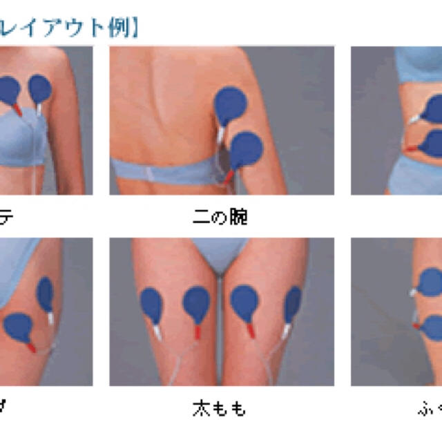 業務用　EMS 【iso 9001認定機器】 コスメ/美容のダイエット(エクササイズ用品)の商品写真