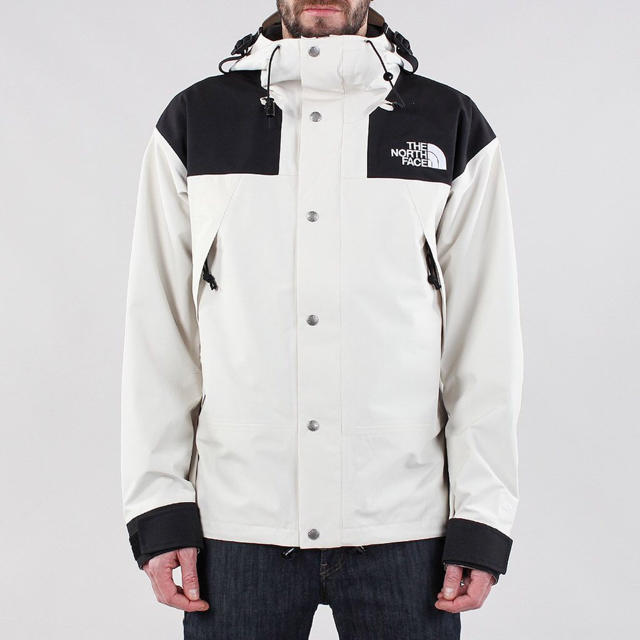 the north face 1990 mountain jacket gtx白