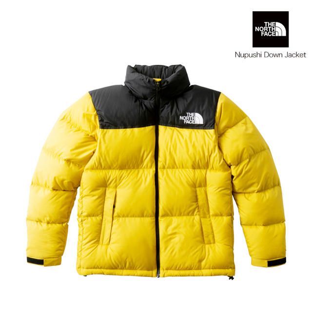 THE NORTH FACE 2018FW ''Nupshi Jaket''