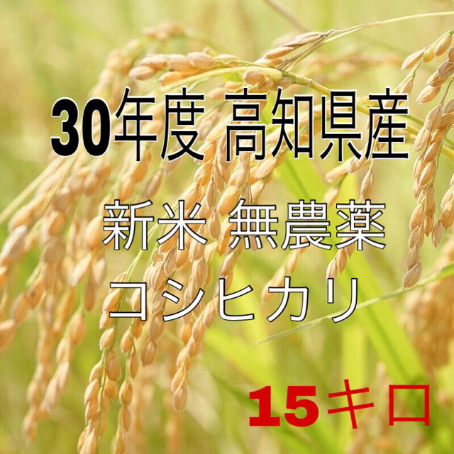 2018年度産 高知県 無農薬コシヒカリ