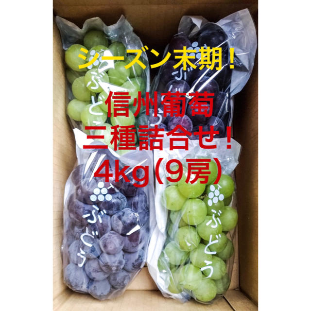 【LiLi☆】ピオーネ×5  黄甘×4  詰合せ 種無し　4kg(9房)