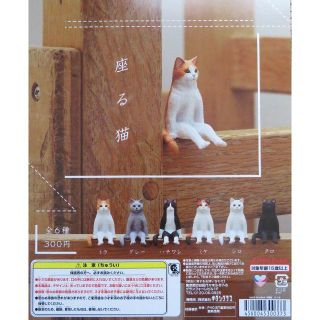 座る猫　全6種セット　奇譚クラブ(その他)