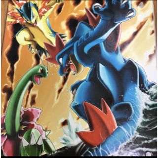 ポケモン - ポケモンカード オフィシャルコレクションファイル
