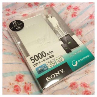 SONY 充電器(その他)