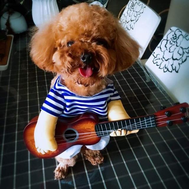大人気 ペット服 コスプレ ギター 面白い かわいい 猫服 犬服 の通販 By 買わないで S Shop ラクマ