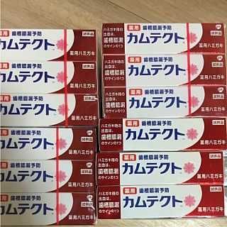 カムテクト 35g×12本(歯磨き粉)