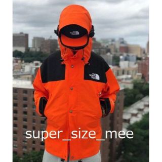 ザノースフェイス(THE NORTH FACE)のThe North Face 1990 Mountain GTX Jacket (ナイロンジャケット)