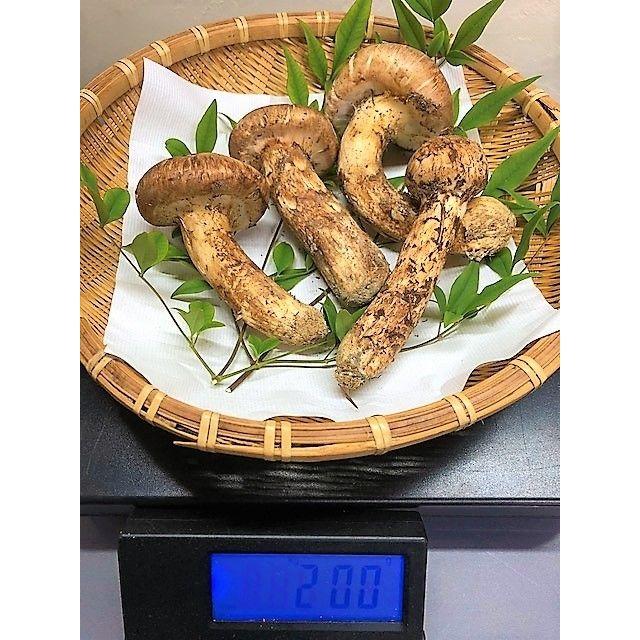 松茸 不揃い ２００ｇ 信州上田市産 3.000円引き