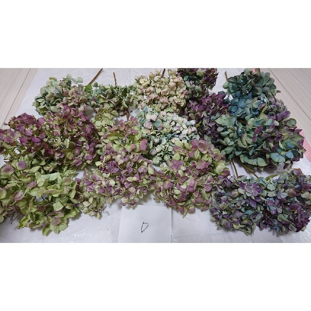 紫陽花ドライフラワー パープル系Dセット ハンドメイドのフラワー/ガーデン(ドライフラワー)の商品写真